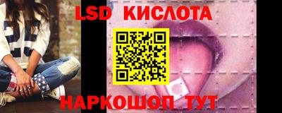 гидра Заводоуковск