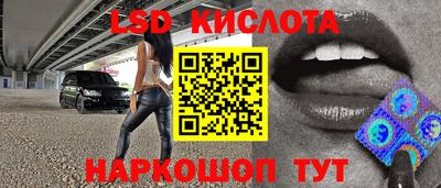 гидра Заводоуковск