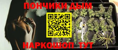 гидра Заводоуковск