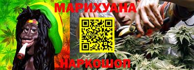гидра Заводоуковск