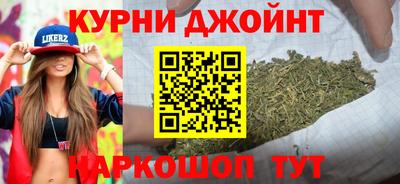гидра Заводоуковск