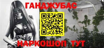 гидра Заводоуковск