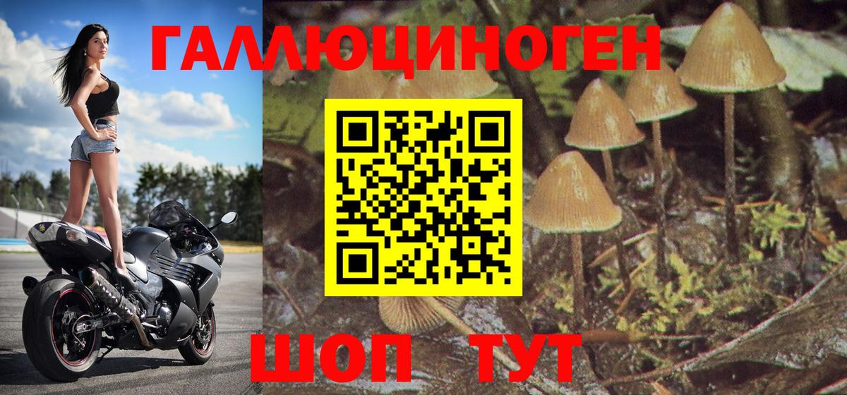 Кулебаки  наркота  Вход с VPN  Псилоцибиновые грибы GOLDEN TEACHER 