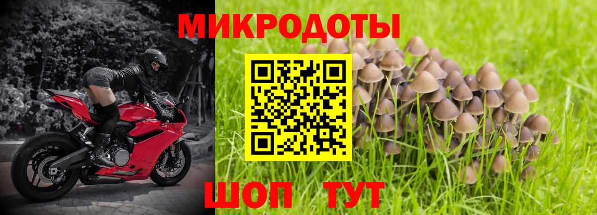 Галлюциногенные грибы MAGIC MUSHROOMS Кулебаки
